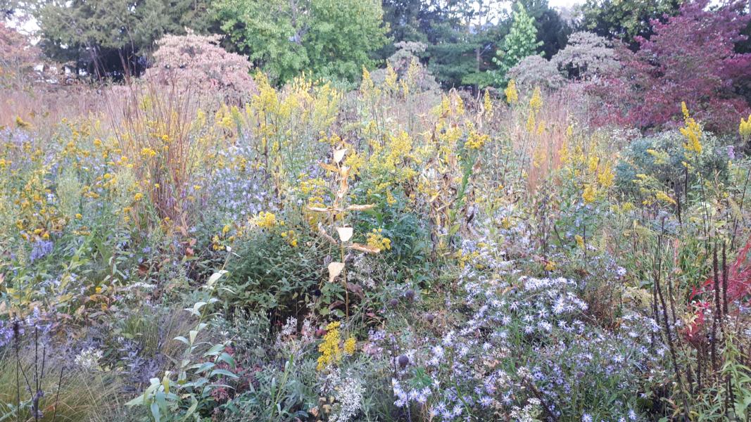 Staudengarten Herbst